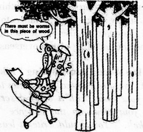 2017年6月四级作文预测：On Protecting the Forests