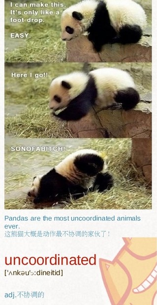 英语四级单词天天记:uncoordinated 英语四级单词天天记:uncoordinated