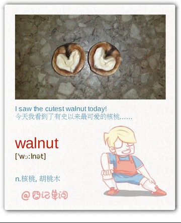 英语四级单词天天记：walnut