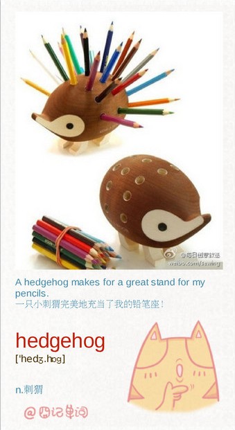 英语四级单词天天记：hedgehog